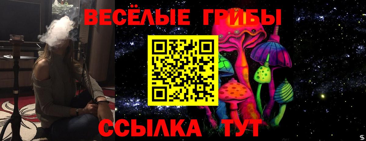 Трёхгорный  Галлюциногенные грибы GOLDEN TEACHER  Вход с VPN 